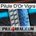 Vigra Gold Pill 34